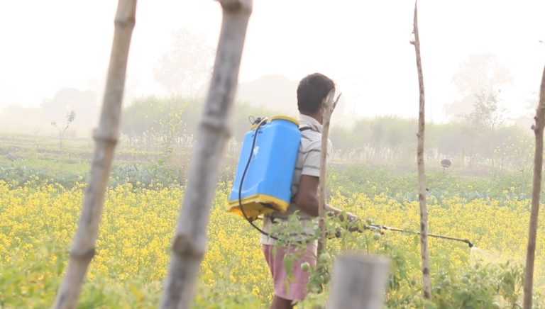 Bhanta Kheti and Tarkari Kheti: Practical Learning From the Fields